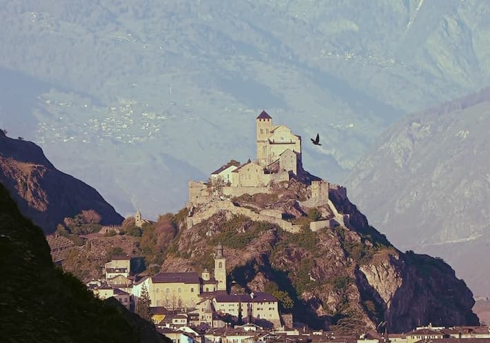 Rencontre Wild Arena et VR Center