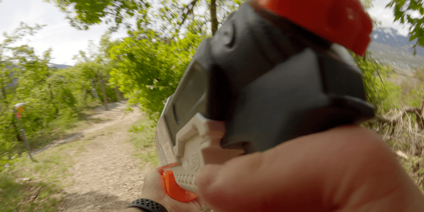 Wild Arena gallery 2