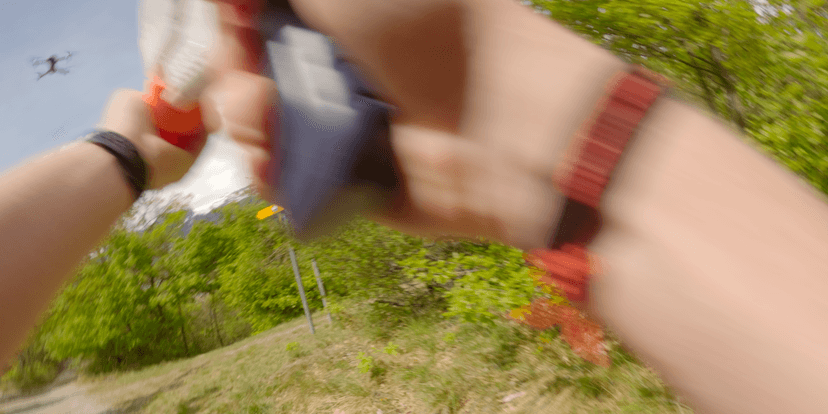 Wild Arena gallery 4